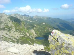 Rohacze